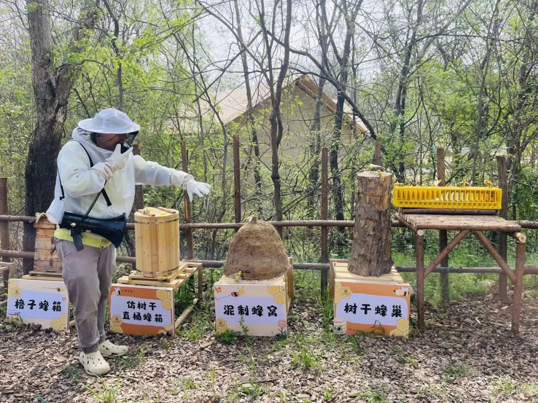 小西沟研学活动
