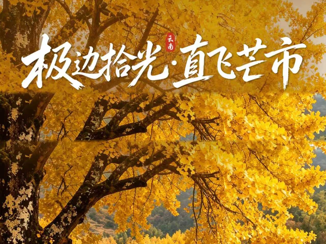 极边拾光·直飞芒市 腾冲+芒市+瑞丽双飞6日游（纯玩0自费）